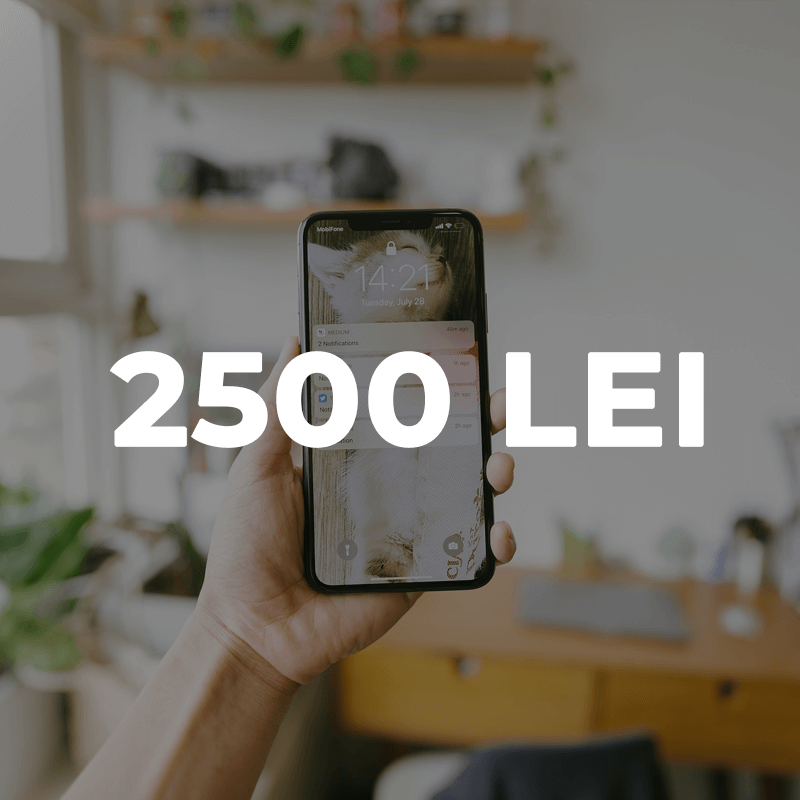 Telefoane sub 2500 lei